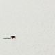 Illustration for article titled Fantastic aerial photos of Botswana make me wish I was there right now